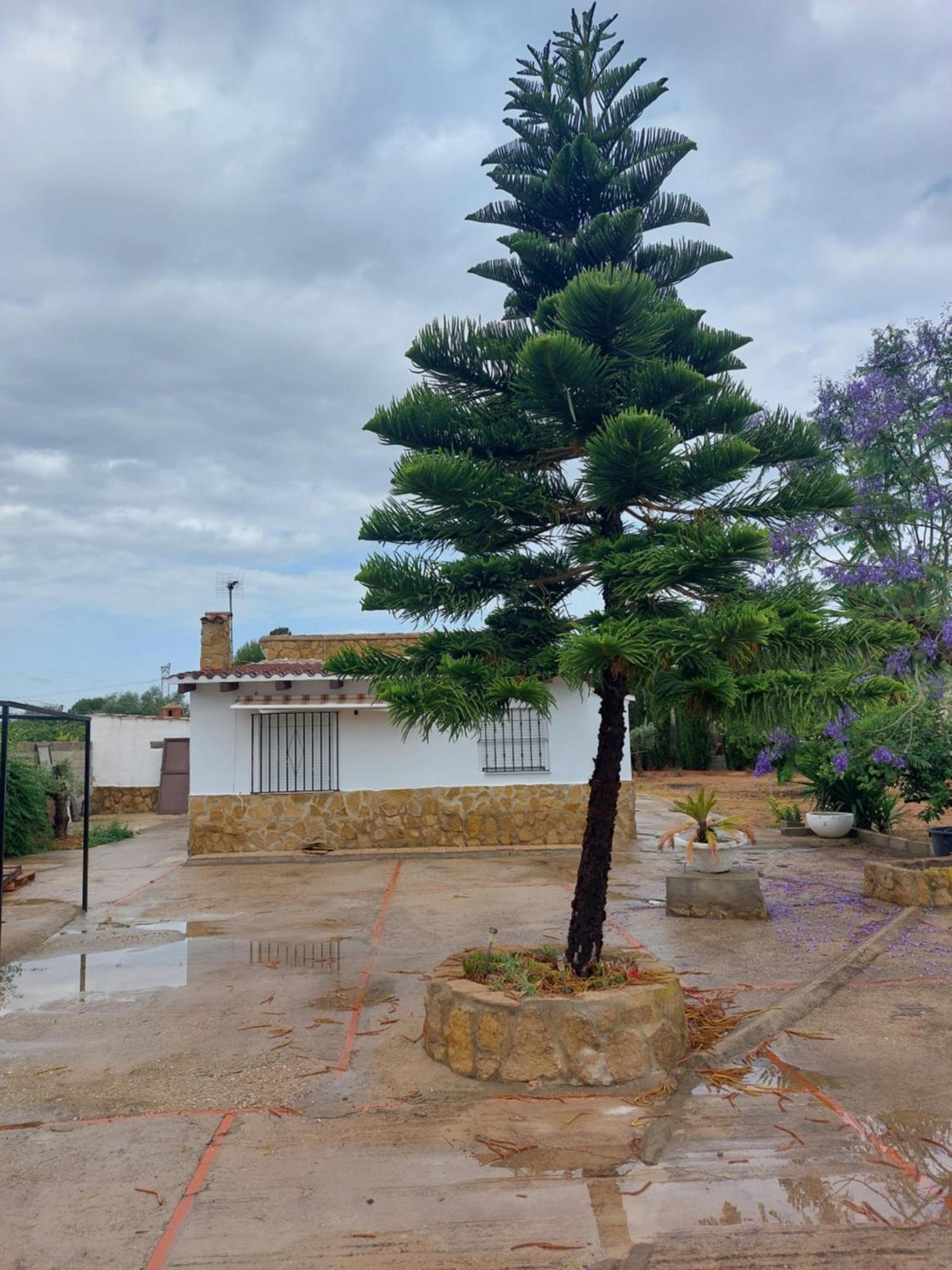 Villa Les Berreries à Montroy Extérieur photo